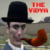 The Vidya