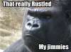 That really rustled my jimmies