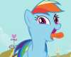 rainbow dash spazzes the fuck out