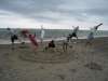 prototype elbow drops on the beach.jpg