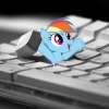 Ranbow dash emerges from the keyboard.