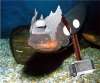 Thoray Eel