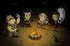 Don\'t Starve