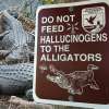 come to think of it you should probably avoid feeding anything to the alligators