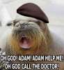OH GOD ADAM CALL THE DOCTOR