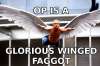 FAG WINGS FOR FAGS