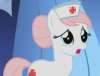 medical pony
