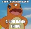 Charmander does not care what your opinion is.